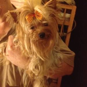 Meet your Posher, Hazel